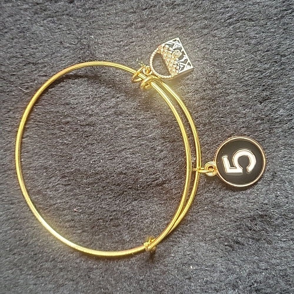 Expanding bracelet